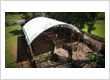 12m x 12m Cattleyards Pole Shelter 2