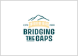 Bridging the Gaps
