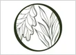 Oak & Willow Realty Group