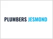 Plumbers Jesmond