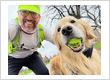 Denver Dog Joggers