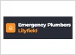Emergency Plumbers Lilyfield