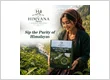 Himvana Web banner