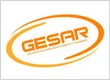 GESAR INC