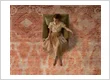 Soft textures, intricate patterns, timeless luxury.