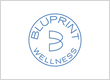 Bluprint Wellness