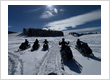 Alpine Mountain Adventures