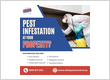 Flyer for Pest Control