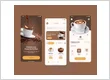 ui/ux