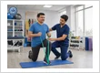 Physical Rehabilitation Program