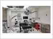 Workers Compensation Doctor