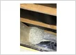 IMG 7792