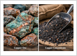 Copper Ore vs. Copper Concentrates: Understanding the Industrial Value Chain