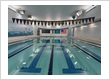 Dolphin Swimming Flagship Pool