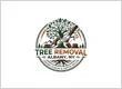 Tree Removal Albany NY