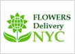 Dozen Roses Delivery NYC