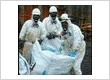 Asbestos Contractor