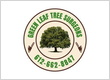 Green Leaf Tree Surgeons