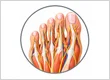 When Should You See a Podiatrist? A Complete Guide to Better Foot Health