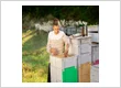 Queen B Bee Hive Removal Seattle