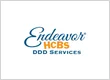 Endeavor DDD Services