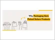 Why Packaging Gets Picked Before Products