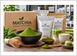 Matcha Wholesale Supply Showcase