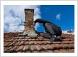 chimney repair