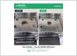 maidex ba burnaby 1 cooktop
