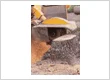 imgi 113 pulaski county mo tree services 24 hour tree service stump grinding section img