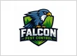 Falcon Pest control Bangalore residential commercial