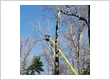 H&H Tree Service