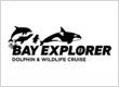Bay Explorer - Dolphin and Wildlife C...