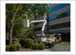 Commercial Tree Services