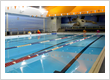 Leading Castle Cove Swim School