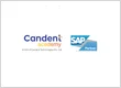 Best SAP Training Institute In Pune