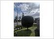 Precision Hedge & Tree Shaping