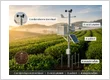 ระบบติดตามสวนชา 30 เฮกตาร์บนดอยสูง: LoRaWAN ในพื้นที่ลาดชัน และสแกนใบชาด้วย AI ตรวจโรคเร็วขึ้น 24–72…