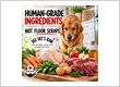 Not Table Scraps