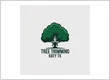 Tree BracingKaty