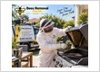 Bee removal process