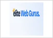 Elite Web Gurus