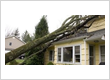 Storm Damage Repair Services
