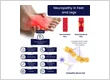 Treatment For Neuropathy In Legs And Feet