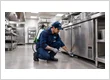 Pest Control in Kitchen