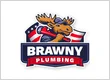Brawny Plumbing