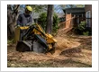 Stump Grinding