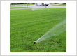 Lawn Sprinkler Systems Collingwood Ontario