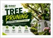 tree purning service img
