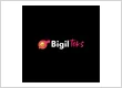 BigilToks